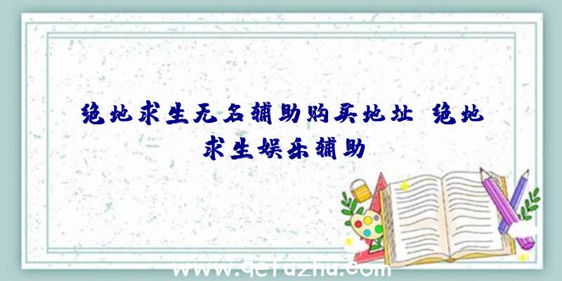 绝地求生无名辅助购买地址、绝地求生娱乐辅助