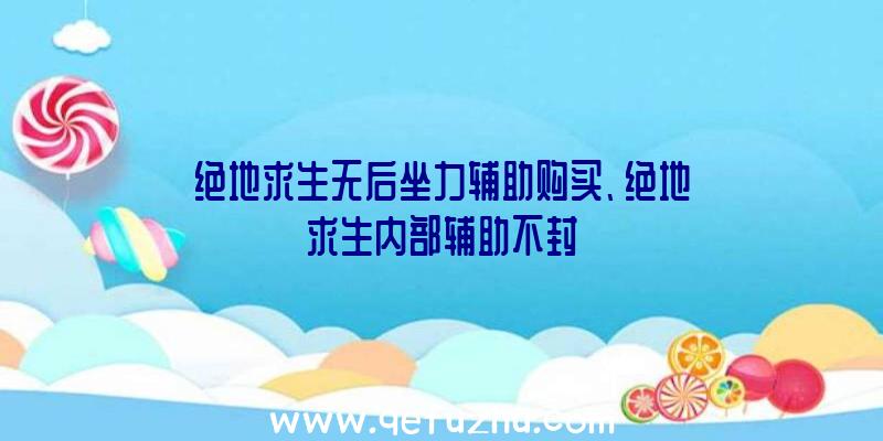 绝地求生无后坐力辅助购买、绝地求生内部辅助不封