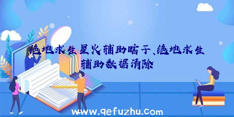 绝地求生星火辅助瞎子、绝地求生辅助数据清除