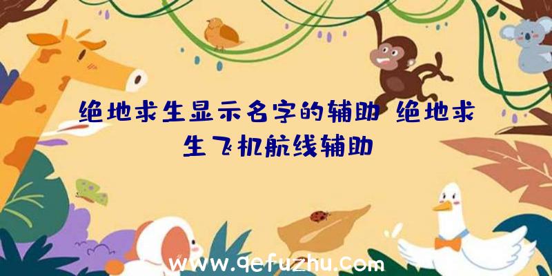 绝地求生显示名字的辅助、绝地求生飞机航线辅助