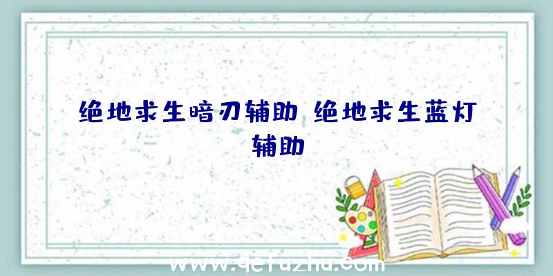 绝地求生暗刃辅助、绝地求生蓝灯辅助