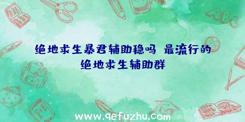 绝地求生暴君辅助稳吗、最流行的绝地求生辅助群