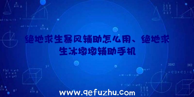 绝地求生暴风辅助怎么用、绝地求生冰墩墩辅助手机