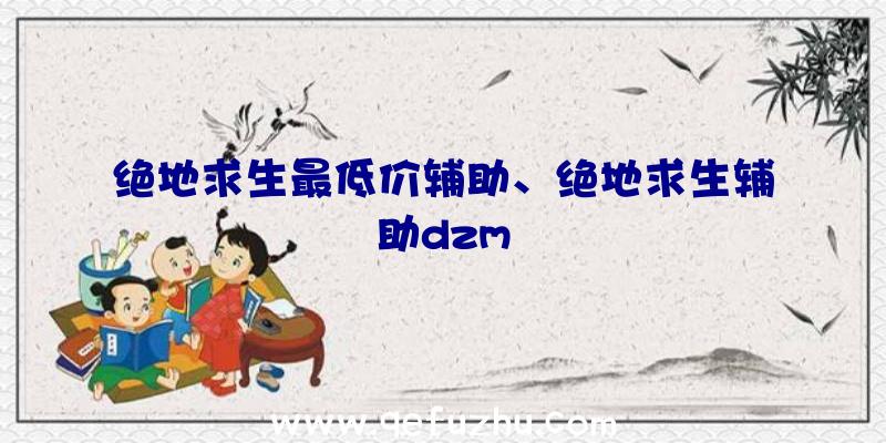 绝地求生最低价辅助、绝地求生辅助dzm