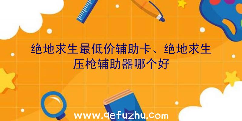 绝地求生最低价辅助卡、绝地求生压枪辅助器哪个好