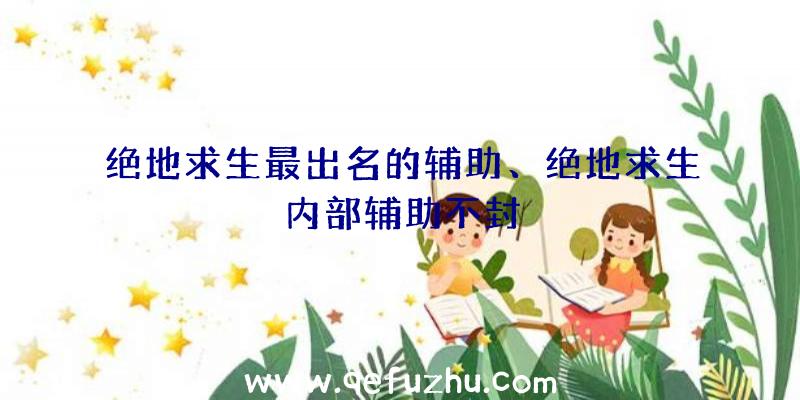 绝地求生最出名的辅助、绝地求生内部辅助不封