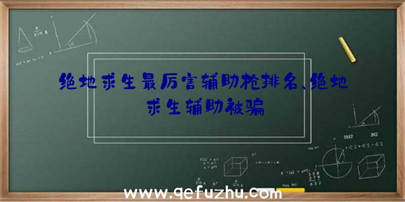 绝地求生最厉害辅助枪排名、绝地求生辅助被骗