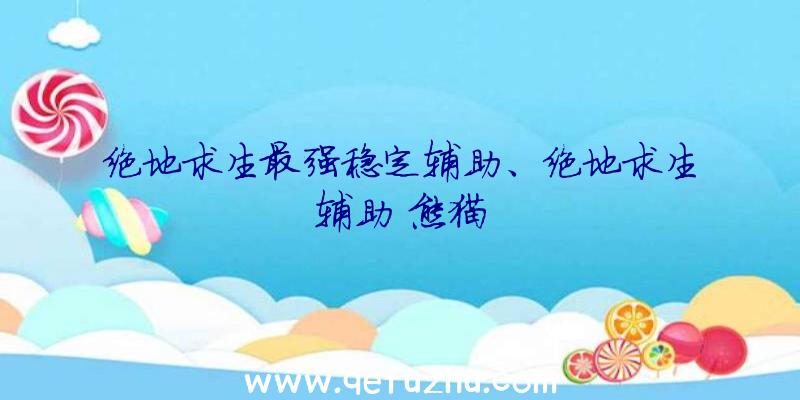 绝地求生最强稳定辅助、绝地求生辅助