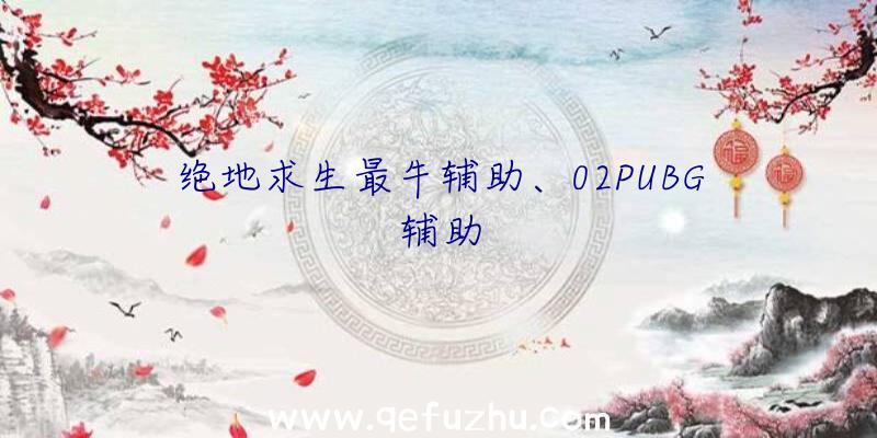 绝地求生最牛辅助、02PUBG辅助