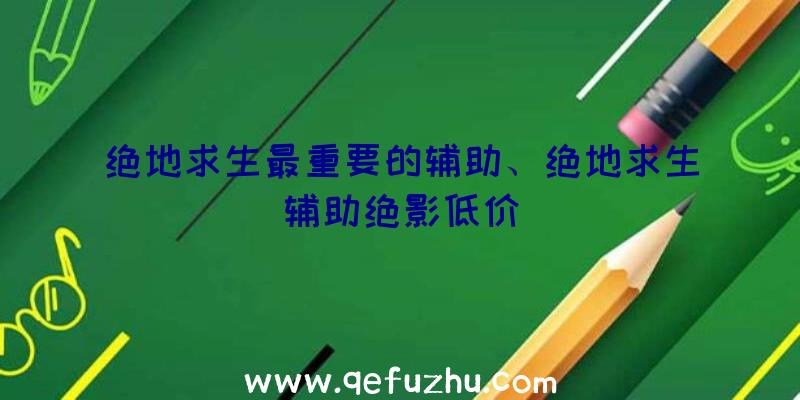 绝地求生最重要的辅助、绝地求生辅助绝影低价