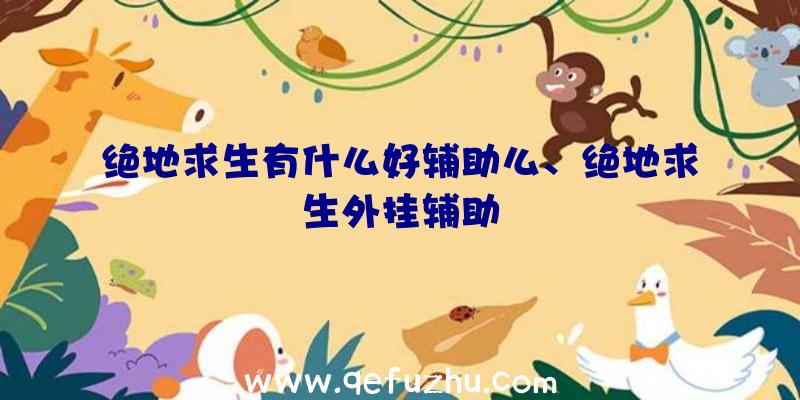 绝地求生有什么好辅助么、绝地求生外挂辅助