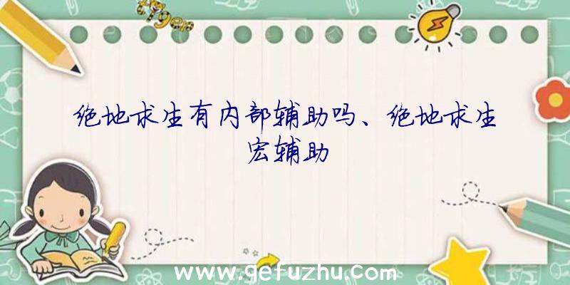 绝地求生有内部辅助吗、绝地求生宏辅助