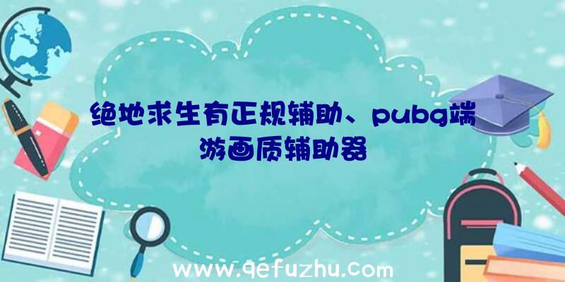 绝地求生有正规辅助、pubg端游画质辅助器