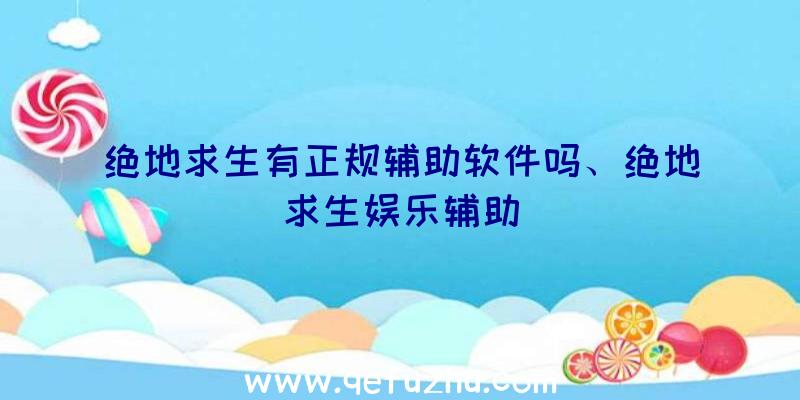 绝地求生有正规辅助软件吗、绝地求生娱乐辅助