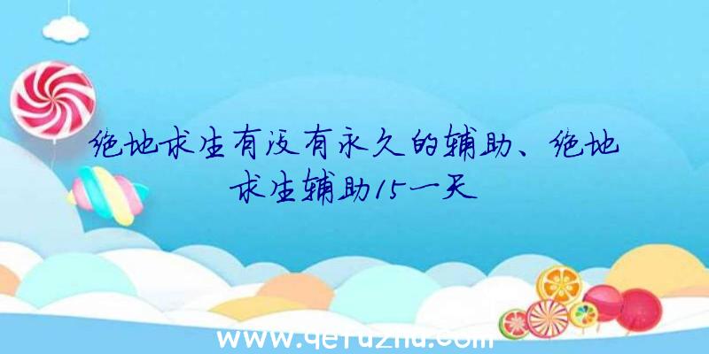 绝地求生有没有永久的辅助、绝地求生辅助15一天