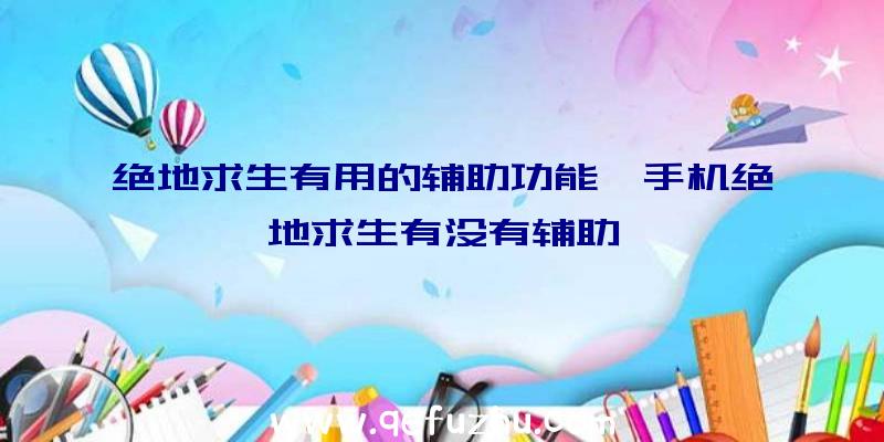 绝地求生有用的辅助功能、手机绝地求生有没有辅助