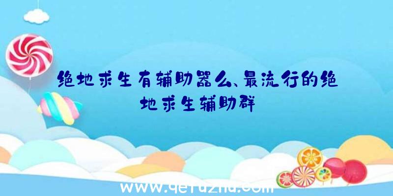 绝地求生有辅助器么、最流行的绝地求生辅助群