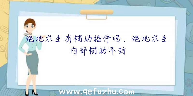 绝地求生有辅助插件吗、绝地求生内部辅助不封