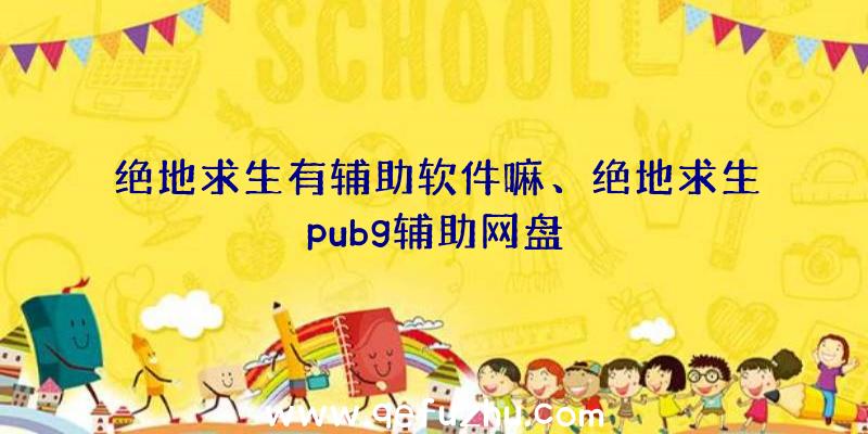 绝地求生有辅助软件嘛、绝地求生pubg辅助网盘