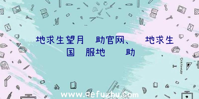 绝地求生望月辅助官网、绝地求生国际服地铁辅助