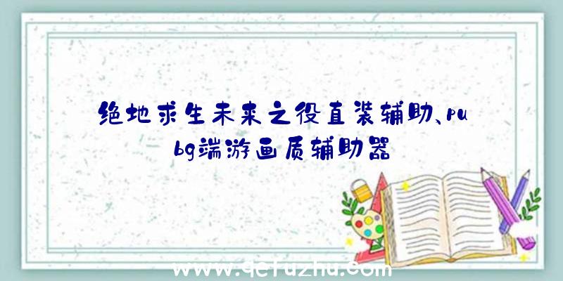 绝地求生未来之役直装辅助、pubg端游画质辅助器