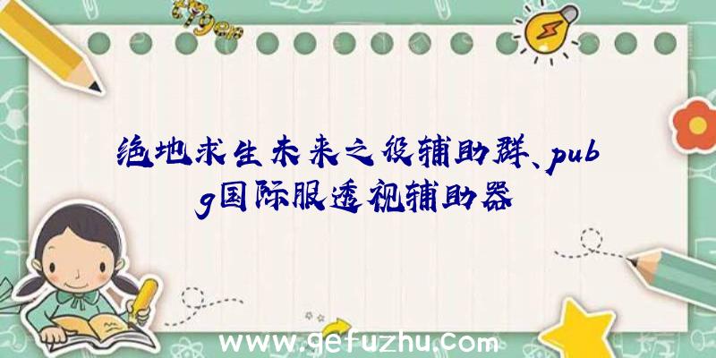 绝地求生未来之役辅助群、pubg国际服透视辅助器