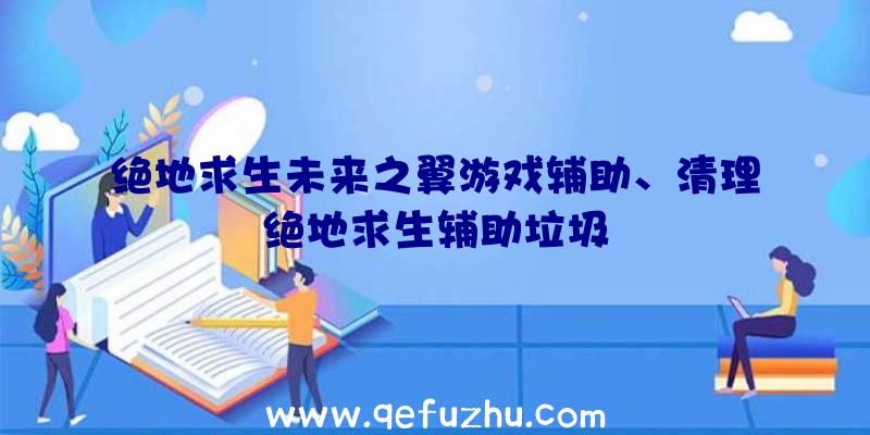 绝地求生未来之翼游戏辅助、清理绝地求生辅助垃圾