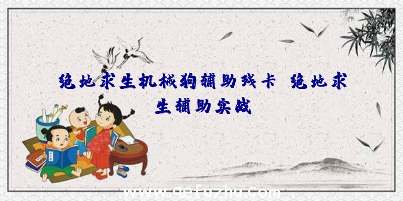 绝地求生机械狗辅助残卡、绝地求生辅助实战