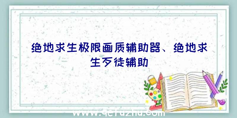 绝地求生极限画质辅助器、绝地求生歹徒辅助