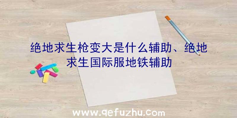 绝地求生枪变大是什么辅助、绝地求生国际服地铁辅助