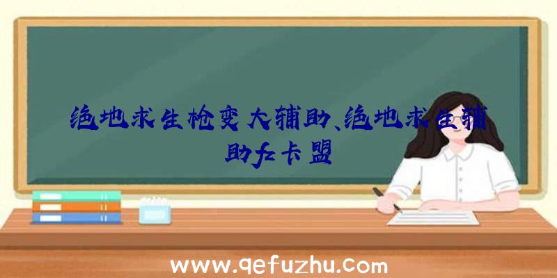 绝地求生枪变大辅助、绝地求生辅助fz卡盟