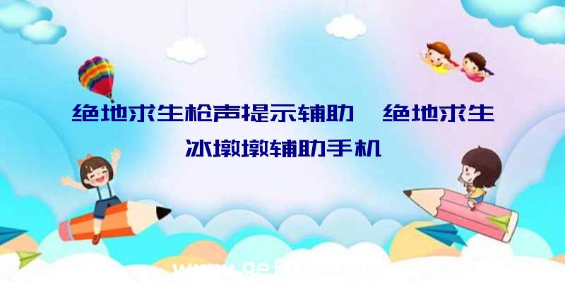 绝地求生枪声提示辅助、绝地求生冰墩墩辅助手机