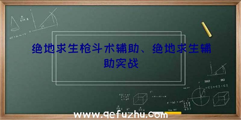 绝地求生枪斗术辅助、绝地求生辅助实战