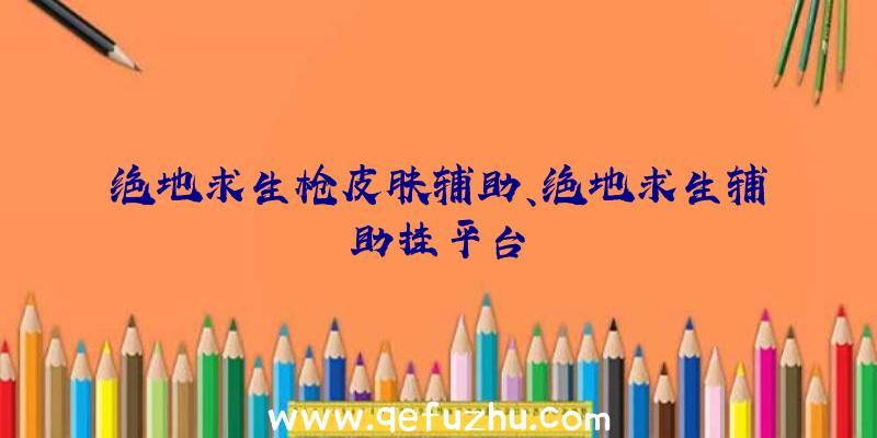 绝地求生枪皮肤辅助、绝地求生辅助挂平台