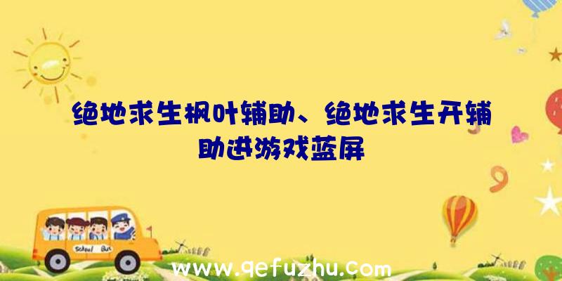 绝地求生枫叶辅助、绝地求生开辅助进游戏蓝屏