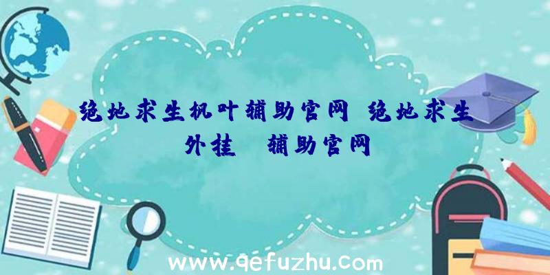 绝地求生枫叶辅助官网、绝地求生外挂jr辅助官网