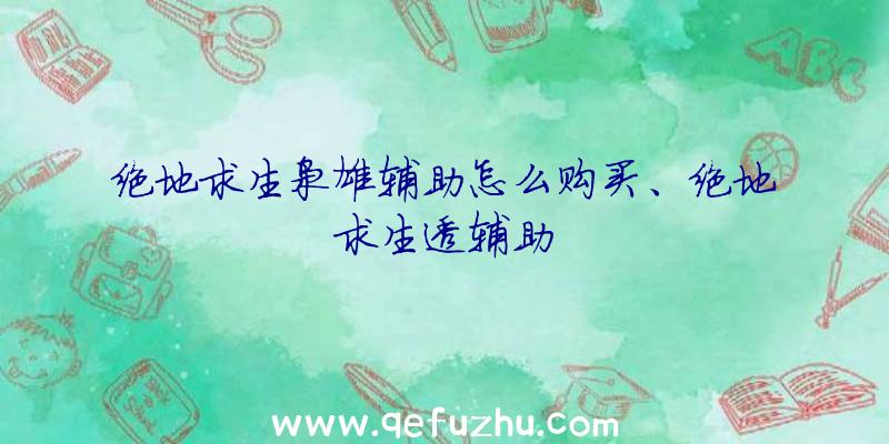 绝地求生枭雄辅助怎么购买、绝地求生透辅助