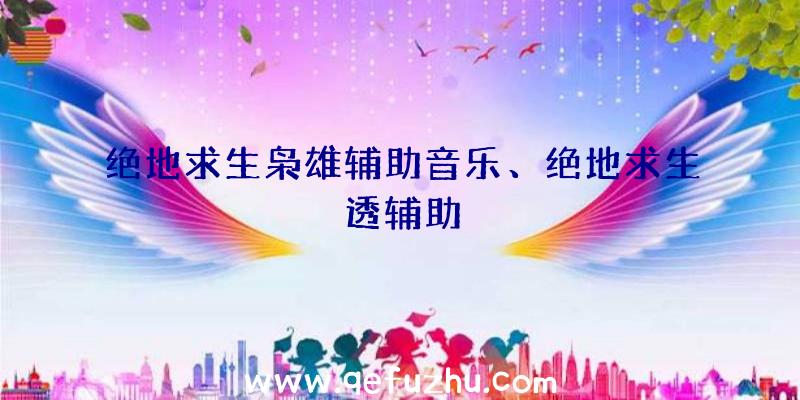 绝地求生枭雄辅助音乐、绝地求生透辅助