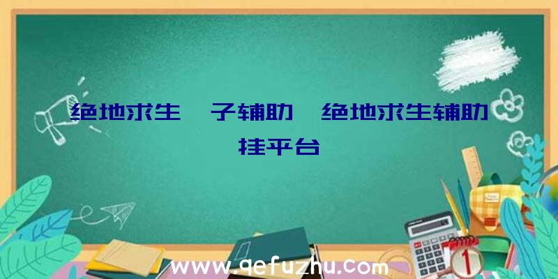 绝地求生柚子辅助、绝地求生辅助挂平台