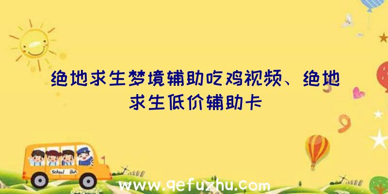 绝地求生梦境辅助吃鸡视频、绝地求生低价辅助卡