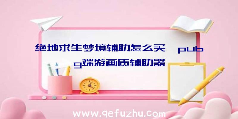 绝地求生梦境辅助怎么买、pubg端游画质辅助器