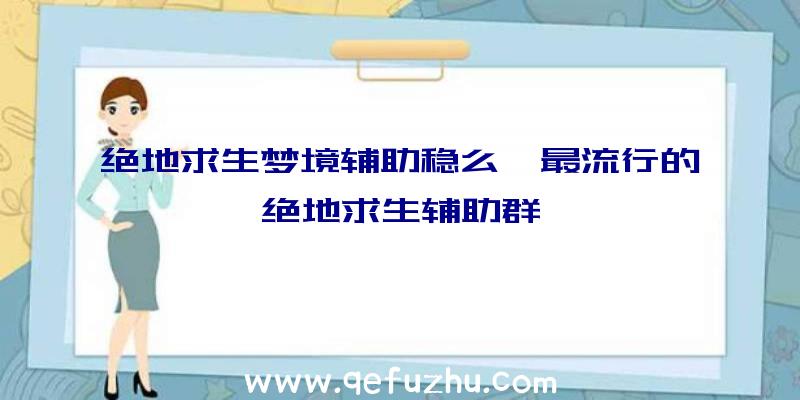 绝地求生梦境辅助稳么、最流行的绝地求生辅助群