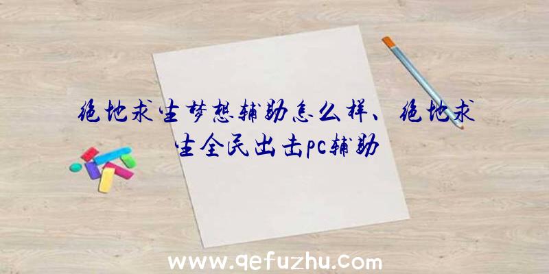 绝地求生梦想辅助怎么样、绝地求生全民出击pc辅助