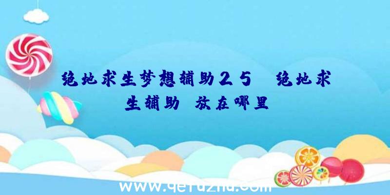 绝地求生梦想辅助25C、绝地求生辅助