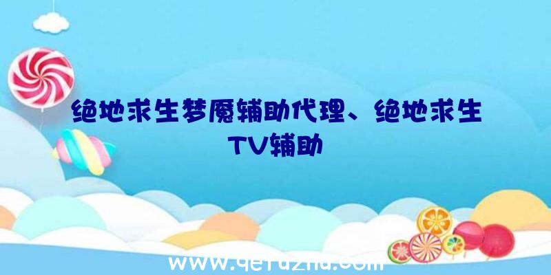 绝地求生梦魇辅助代理、绝地求生TV辅助