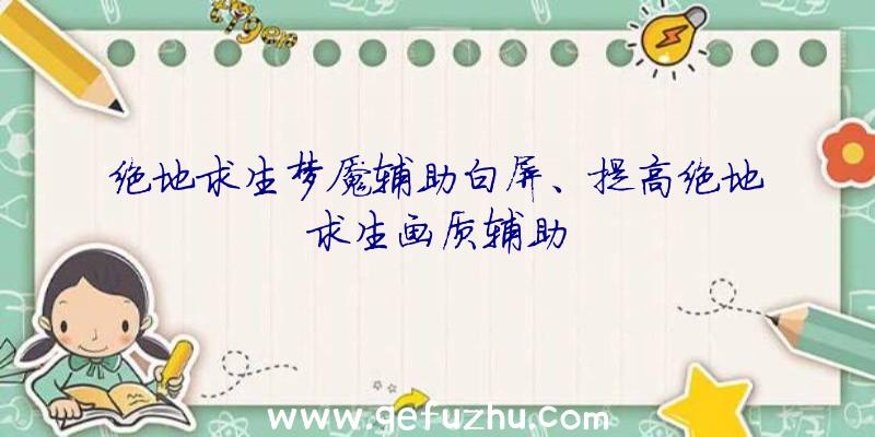 绝地求生梦魇辅助白屏、提高绝地求生画质辅助