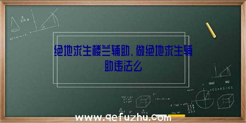 绝地求生楼兰辅助、做绝地求生辅助违法么