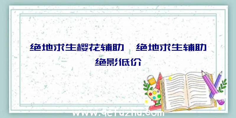 绝地求生樱花辅助、绝地求生辅助绝影低价