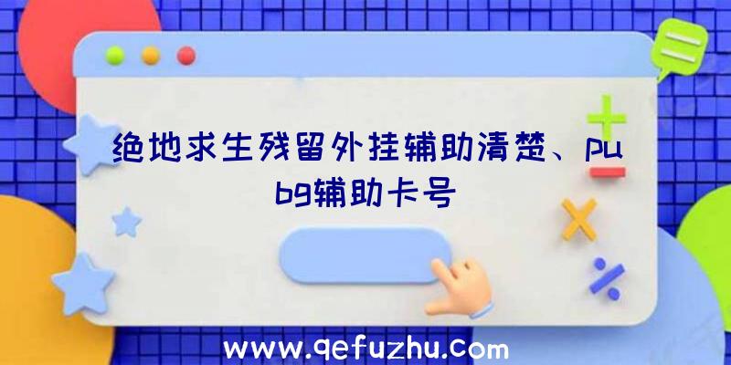 绝地求生残留外挂辅助清楚、pubg辅助卡号