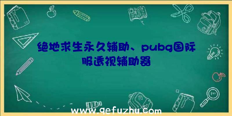 绝地求生永久辅助、pubg国际服透视辅助器